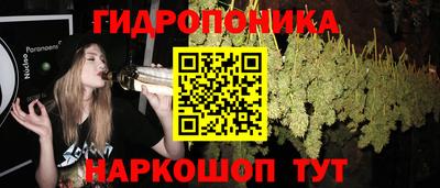 spice Рузаевка